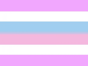 Bigender_pride Bigender_pride