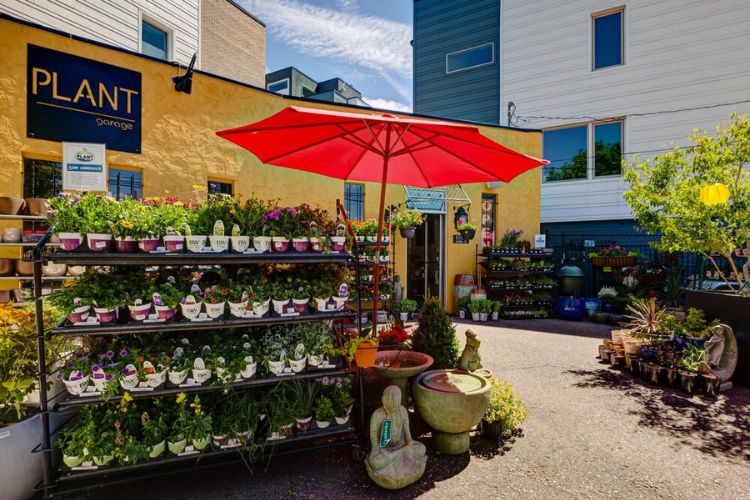 Plant Garage