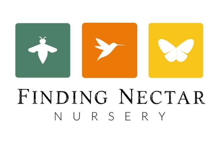 finding nectar